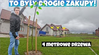 4 METROWE DRZEWA W OGRODZIE  JAK PRAWIDŁOWO SADZIĆ DUŻE SADZONKI  ILE KOSZTUJĄ DUŻE DRZEWA [upl. by Daigle465]