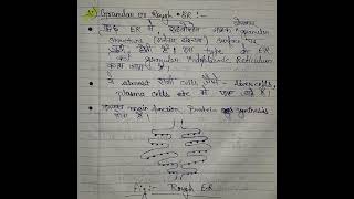 ENDOPLASMIC RETICULUM types of endoplasmic reticulum BSC ZOOLOGY NOTES  bbmku [upl. by Robma]