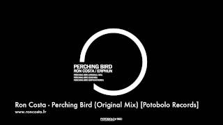 Ron Costa  Perching Bird Original Mix Potobolo Records [upl. by Lotsirb]