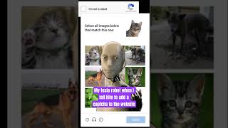 Website CAPTCHA [upl. by Zuleika219]