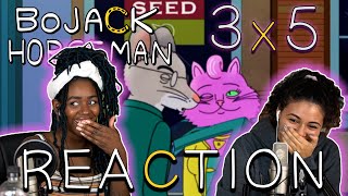 BoJack Horseman 3x5  quotLove AndOr Marriagequot REACTION [upl. by Ahon]