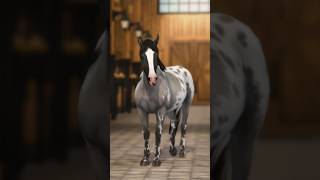 My Favorite SSO Coats 🐴✨ starstable [upl. by Levenson206]