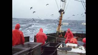 Atunero uruguayo Uruguayan fishing vessel some years ago [upl. by Lazarus332]