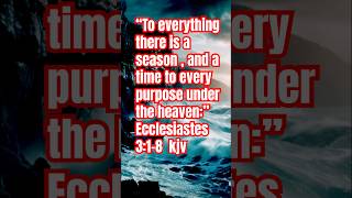 ECCLESIASTES 318 kjv bibileverse youtubeshorts [upl. by Pul953]