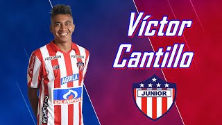 Víctor Cantillo  Goals and Skills  Junior Barranquilla 20182019 [upl. by Nrubyar]