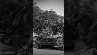 Camouflaged Nashorn tank Tank Hunter ytshort ww2 tank [upl. by Heddi]