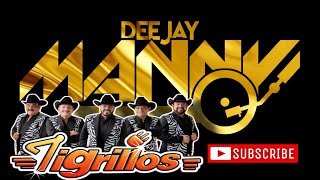 LOS TIGRILLOS  MIRA OYE  DJ MANNY TV 2024 [upl. by Neelahtak]