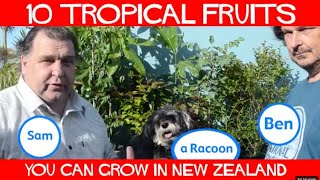 10 Tropical Fruits You can Grow in New Zealand [upl. by Soulier651]