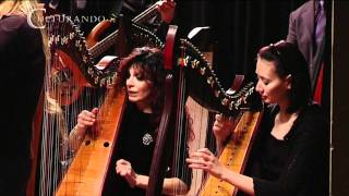 Celtic Harp Orchestra  On Morrison Jig [upl. by Falk985]