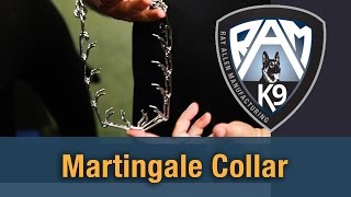 How To Use A Martingale Dog Collar [upl. by Rosemare]