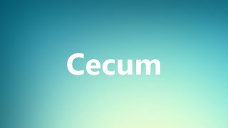 Cecum  Medical Meaning [upl. by Jecon372]