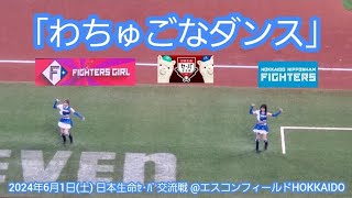 20240601【現地】わちゅごなダンス 交流戦でも！話題沸騰のダンスをファイターズガールが披露♪ｴｽｺﾝﾌｨｰﾙﾄﾞHOKKAIDO･内野3塁側 [upl. by Olympie46]