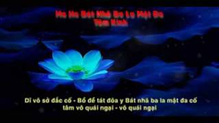 Bat Nha Tam Kinh tieng Viet [upl. by Nnairret]