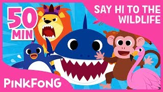 Welcome to Safari  Animal Songs   Compilation  Pinkfong Songs for Children [upl. by Casimir]