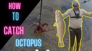 Witsands Kabeljou  how to catch octopus for bait [upl. by Pedrick635]