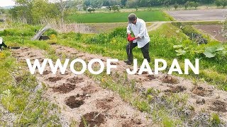 WWOOFF Japan Experience  Trip in Hokkaido  Exchange experience between wwoofer and host [upl. by Drusy]