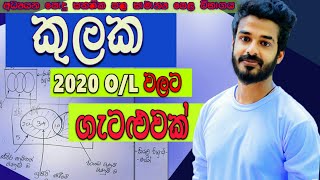 kulaka  sets in sinhala  grade 11  grade 10  question for the exam  කුලක  ganitha papers OL [upl. by Fellner1]