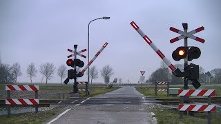 Spoorwegovergang Uithuizen  Dutch railroad crossing [upl. by Eile924]