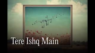 Tere Ishq Main  version 20 [upl. by Chemar279]