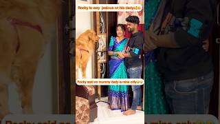 Jealous guy🤣🤣 petlovers doglover dogs doglove love viral youtubeshorts trending vlogs [upl. by Ynnej]