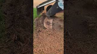 The MOST useful tractor implement NOBODY HAS Stump Grinder shorts asmr satisfying johndeeere [upl. by Raybourne]