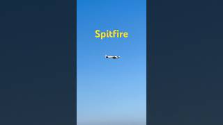 Spitfire 스핏파이어 [upl. by Laumas]