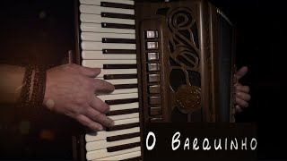 O Barquinho Menescal  Bôscoli  Jazz Accordion played by Piotr [upl. by Bowman]