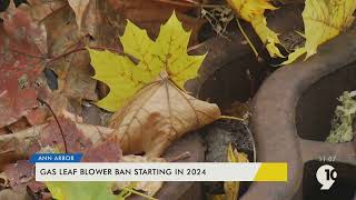 Michigan city bans gas leaf blowers in unanimous vote [upl. by Ynnel]