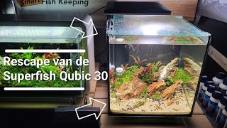 Dutch De Superfish Qubiq 30 Aquarium rescapen  ExoticAquaticanl [upl. by Tut]