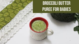 Broccoli Butter Puree for babies  Fiber rich Homemade Puree [upl. by Kerekes810]