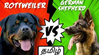 Which is best  German shepherd vs Rottweiler [upl. by Wilen]