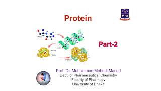 Proteins Part2 [upl. by Clevey]