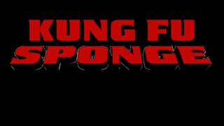 Kung Fu Sponge Cast Video [upl. by Anial]