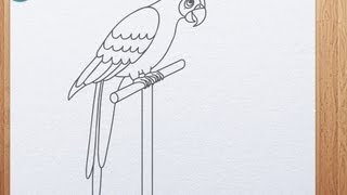 How to draw parrot [upl. by Nena]