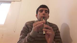 quotSkibbereenquot on irish tin whistle [upl. by Ailadi]