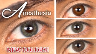 NEW Anesthesia Contact Lenses  Addict Grigio Addict Celeste Addict Terra Addict Nocciola [upl. by Rephotsirhc]