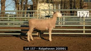 Lot 157  Ridgehaven 200991 [upl. by Ahseinek]