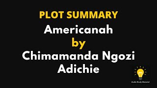 PLOT SUMMARY  Americanah by Chimamanda Ngozi Adichie [upl. by Ashwin]