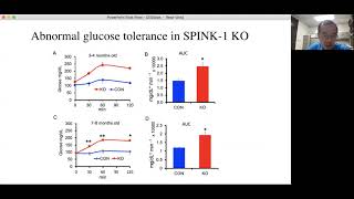 SPINK1 Knockout Ferret as a Model of Pancreatogenic Diabetes Mellitus [upl. by Vernice178]