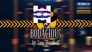 Bodacious  Sam Marshall  CS2 MVP MUSIC KIT [upl. by Nnazil660]