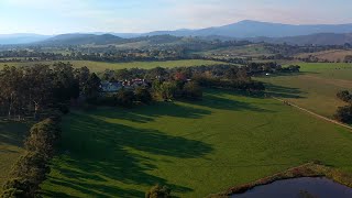 TARRAWARRA ABBEY [upl. by Laersi650]