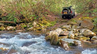 Truck Bed Camping and exploring a new creek [upl. by Meri]