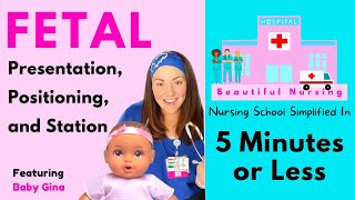 ✅ Fetal Positions Presentation amp Station ✅ Explained in 5 Minutes or Less [upl. by Nahtnaoj]