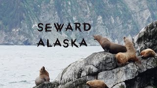 Discover Seward Alaska Alaska Railroad Glaciers in Kenai Fjords National Park Exit Glacier [upl. by Race208]