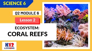 Science 6 Quarter 2 Module 6 Lesson 2  Ecosystem Coral Reefs [upl. by Helbonnas]