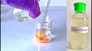 Nesslers Reagent Preparation [upl. by Ragse]