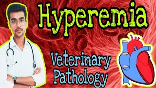 3Hyperemia  Definition Causes and Different types  Short notes  by Aniket tyagi  Vet Study [upl. by Aicnelav673]