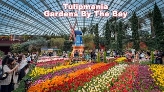 Tulipmania at Flower Dome Gardens By The Bay Singapore [upl. by Ellicul246]