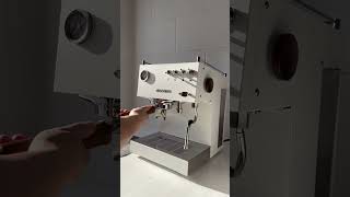 How to Backflush Your Home Ascaso Steel DUO PID Espresso Machine with Cafetto TEVO Mini Tablets [upl. by Aicinoid]