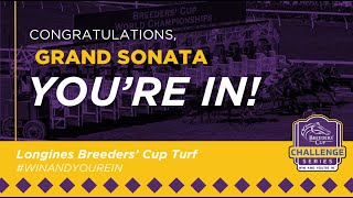 2024 FanDuel TV Kentucky Turf Cup  Grand Sonata [upl. by Hathaway]